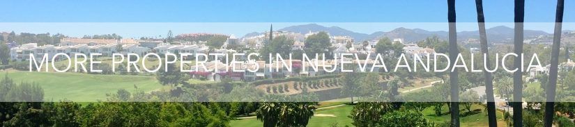 More Properties in Nueva Andalucia