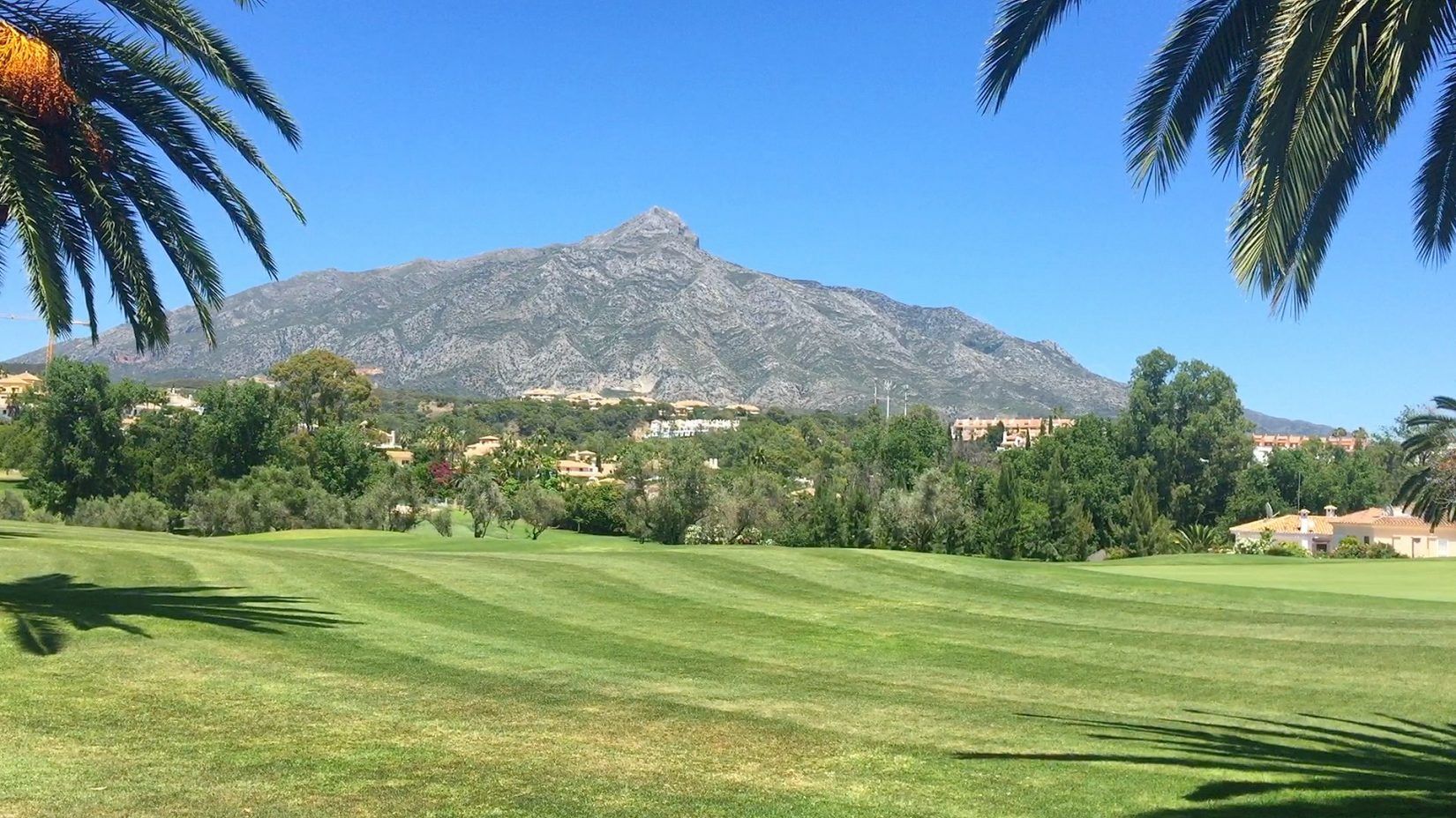Guide on Where to Buy a House in Nueva Andalucía, Marbella