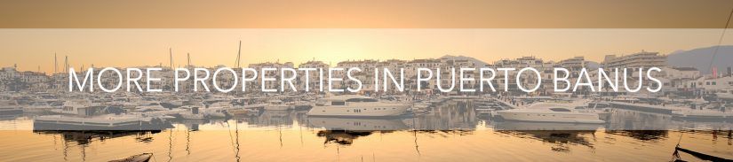 More properties in Puerto Banús