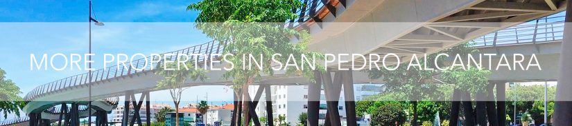 More Properties in San Pedro Alcantara