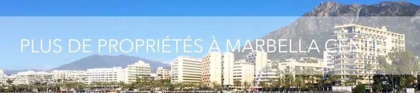 plus de propriété à marbella centre
