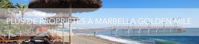 Plus de propriétés á Marbella Golden Mile