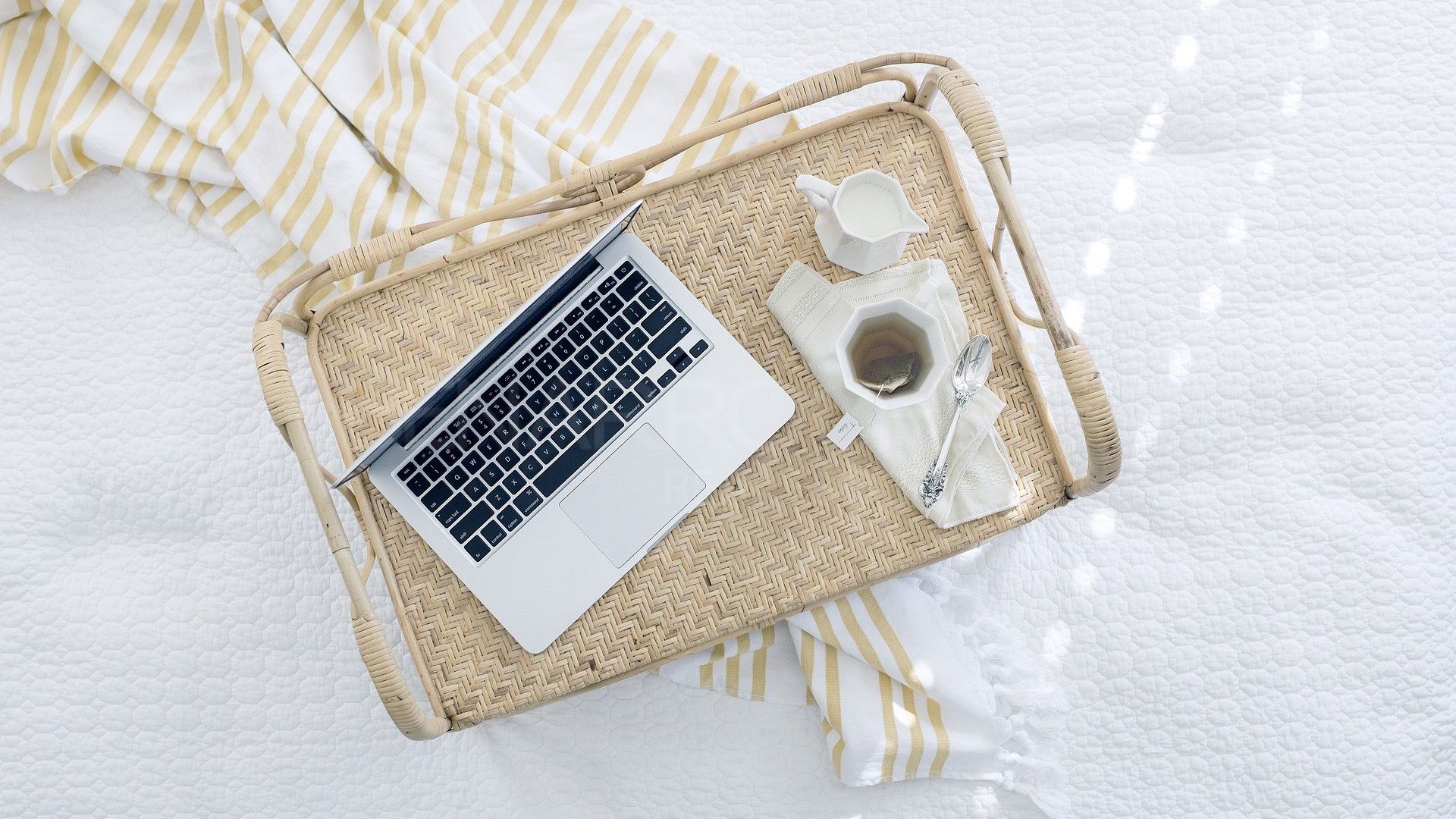 Teleworking from Marbella