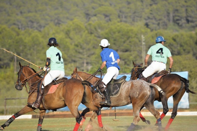 Sotogrande, un refugio de lujo en Cadiz, cerca de Marbella