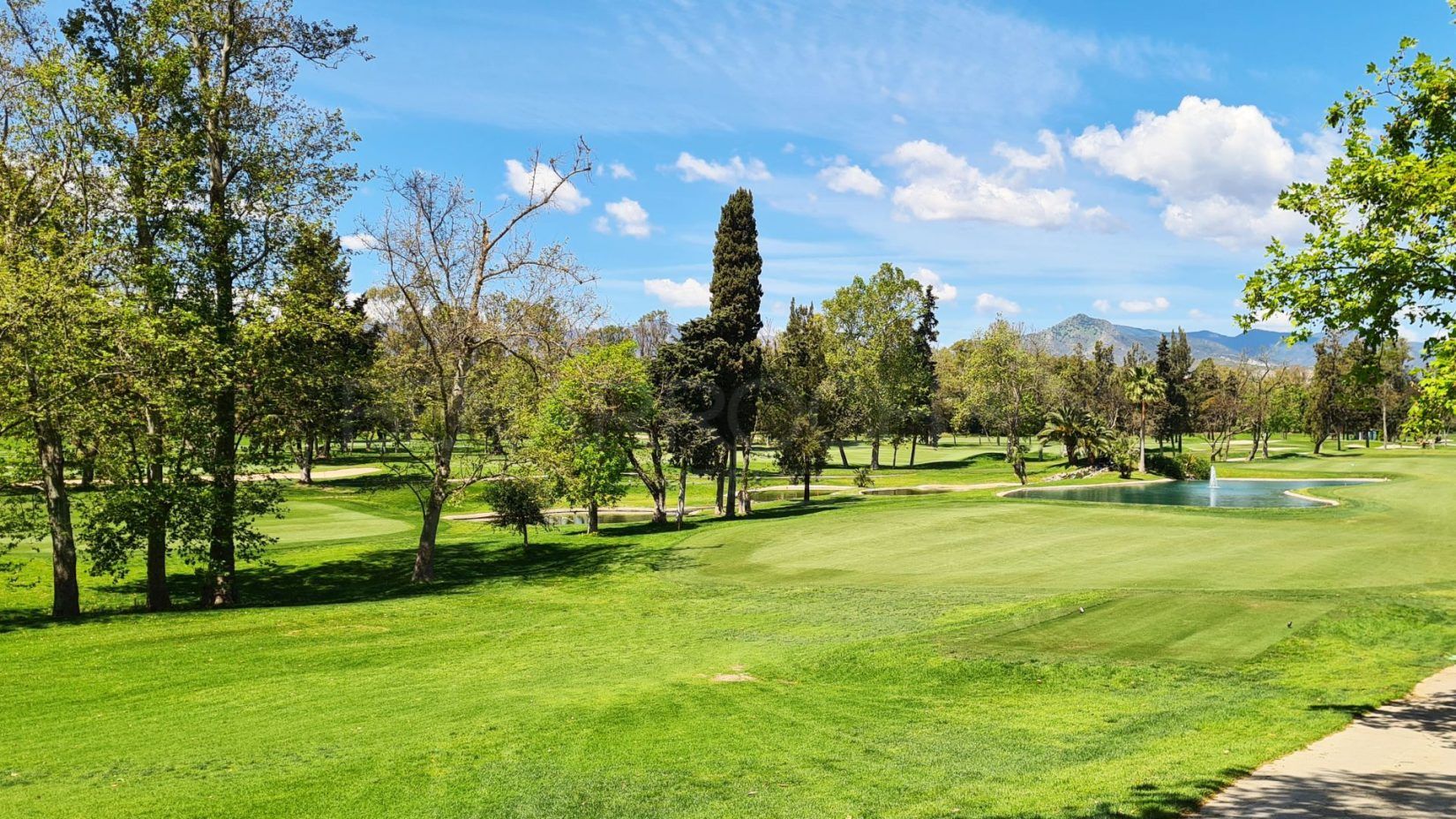 Guadalmina Baja, San Pedro Alcántara, Definitive Buying Guide