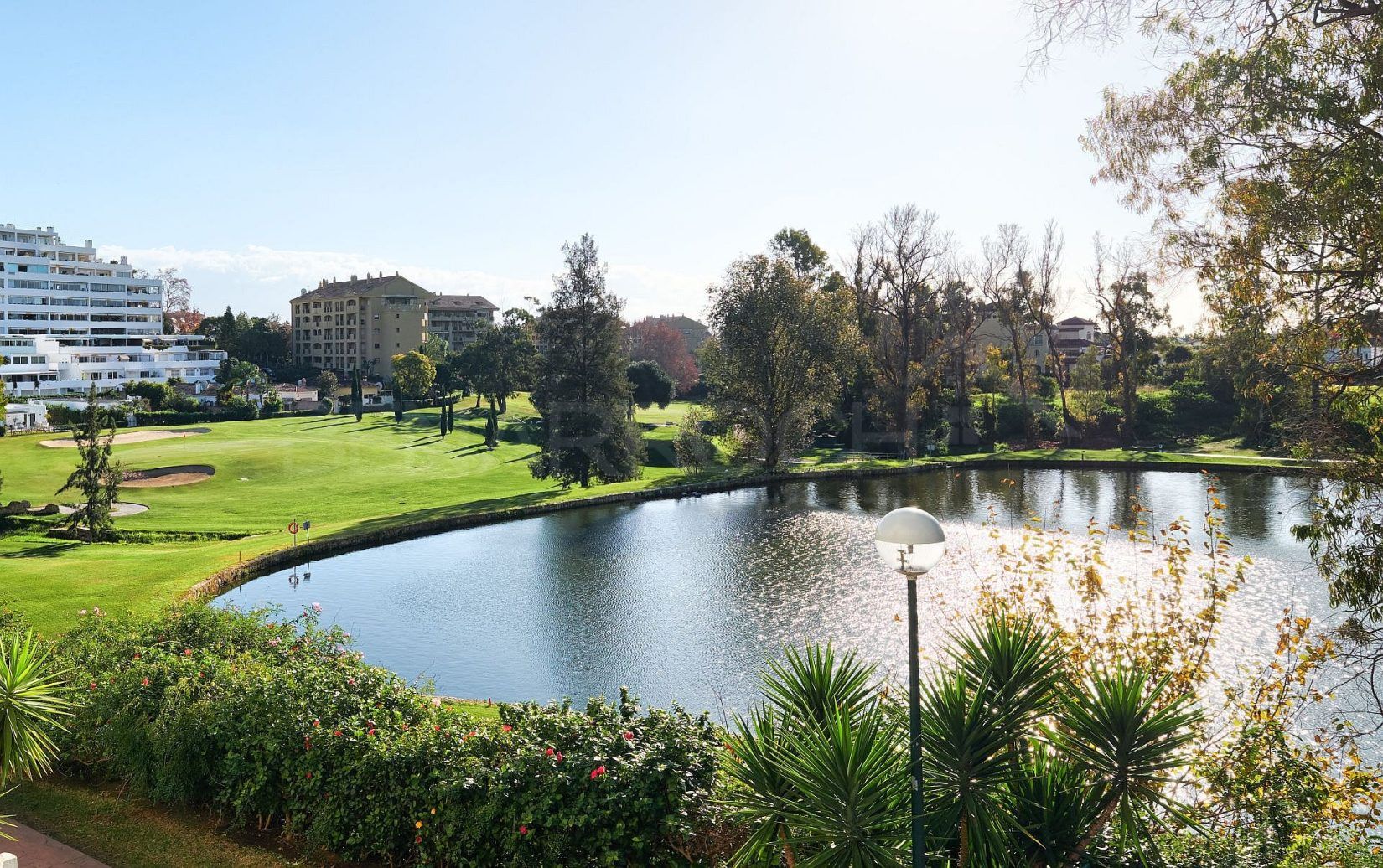 Guadalmina Alta, San Pedro Alcántara, Definitive Buying Guide